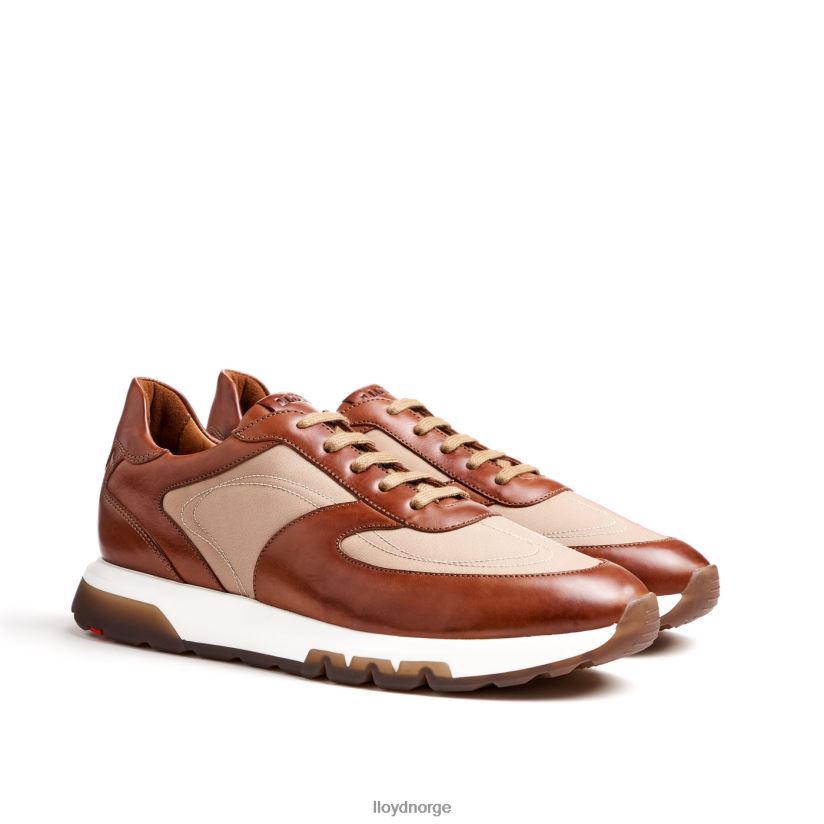 LLOYD Albany menn sko brun 4X82ZP1337