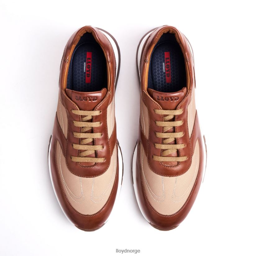 LLOYD Albany menn sko brun 4X82ZP1337