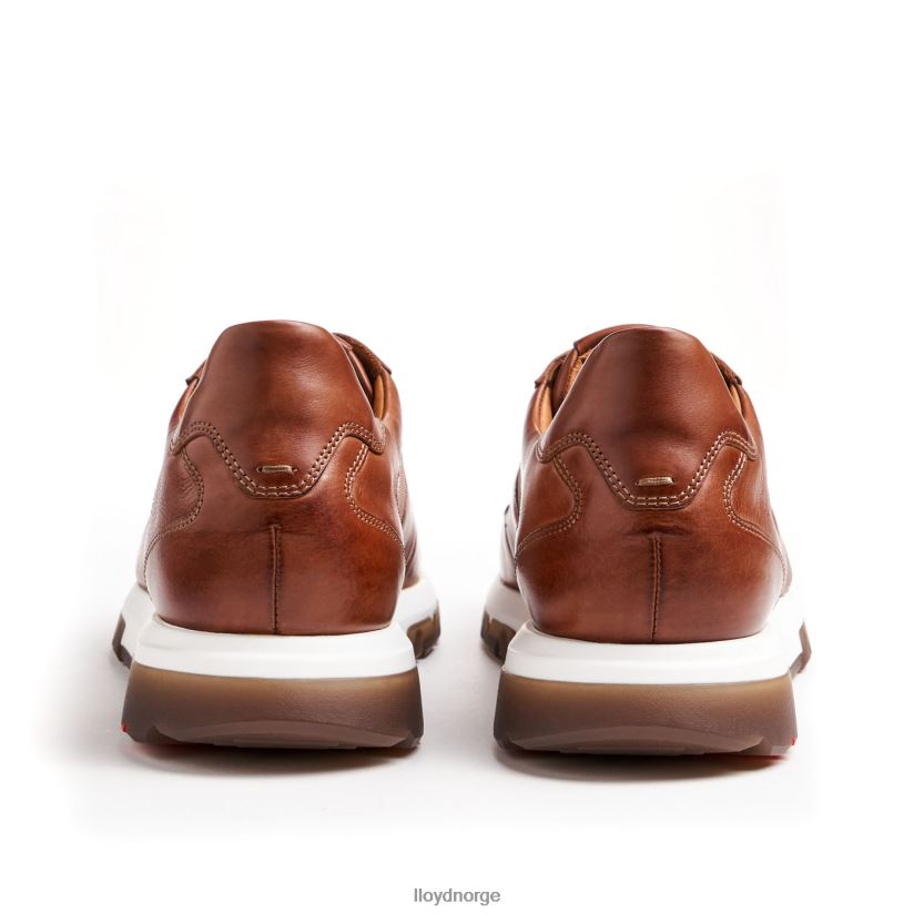 LLOYD Albany menn sko brun 4X82ZP1337