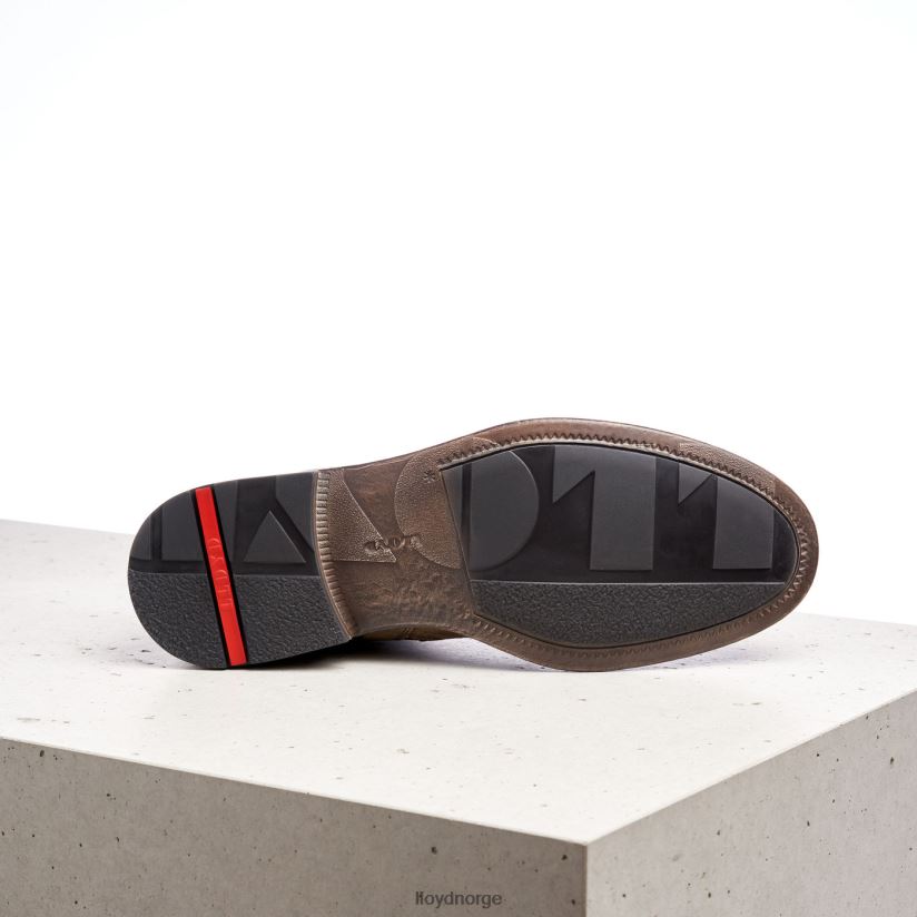 LLOYD Dobbel menn sko brun 4X82ZP498