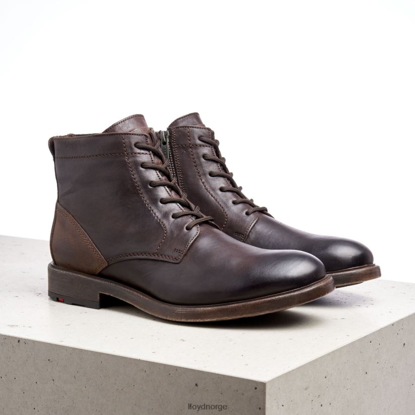 LLOYD Dobbel menn sko brun 4X82ZP526