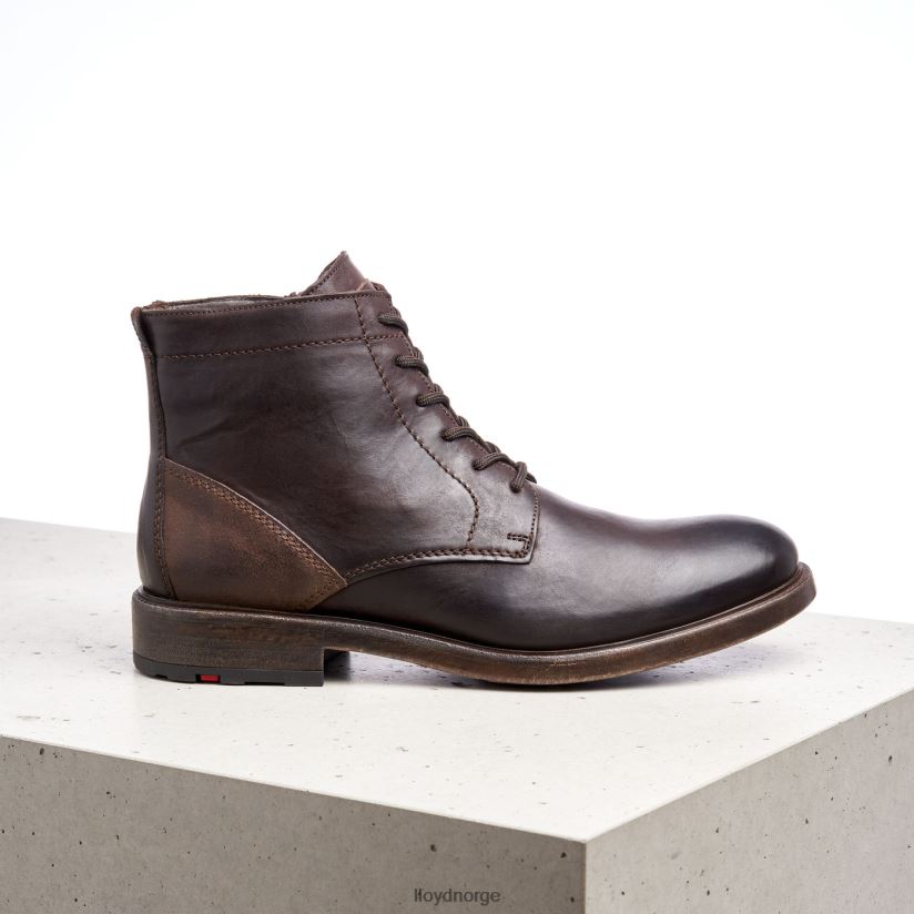 LLOYD Dobbel menn sko brun 4X82ZP526