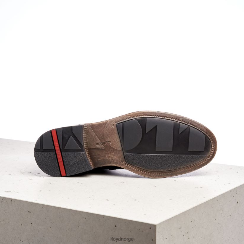 LLOYD Dobbel menn sko brun 4X82ZP526