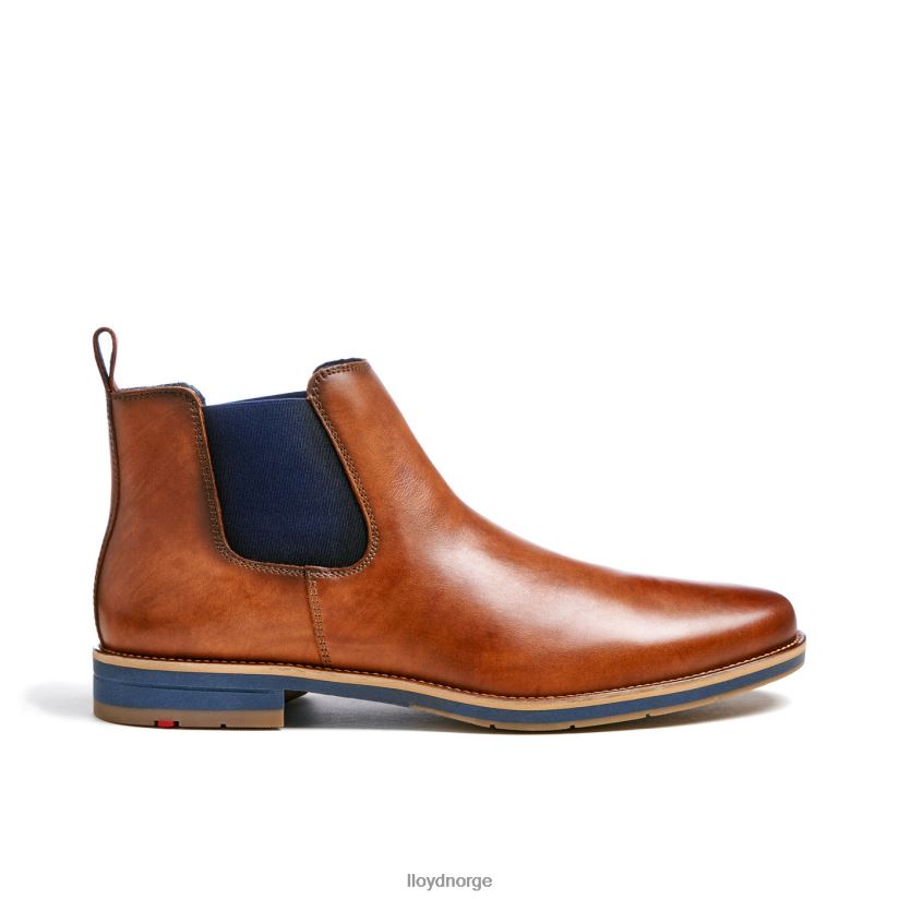 LLOYD Lawrence menn sko brun 4X82ZP453