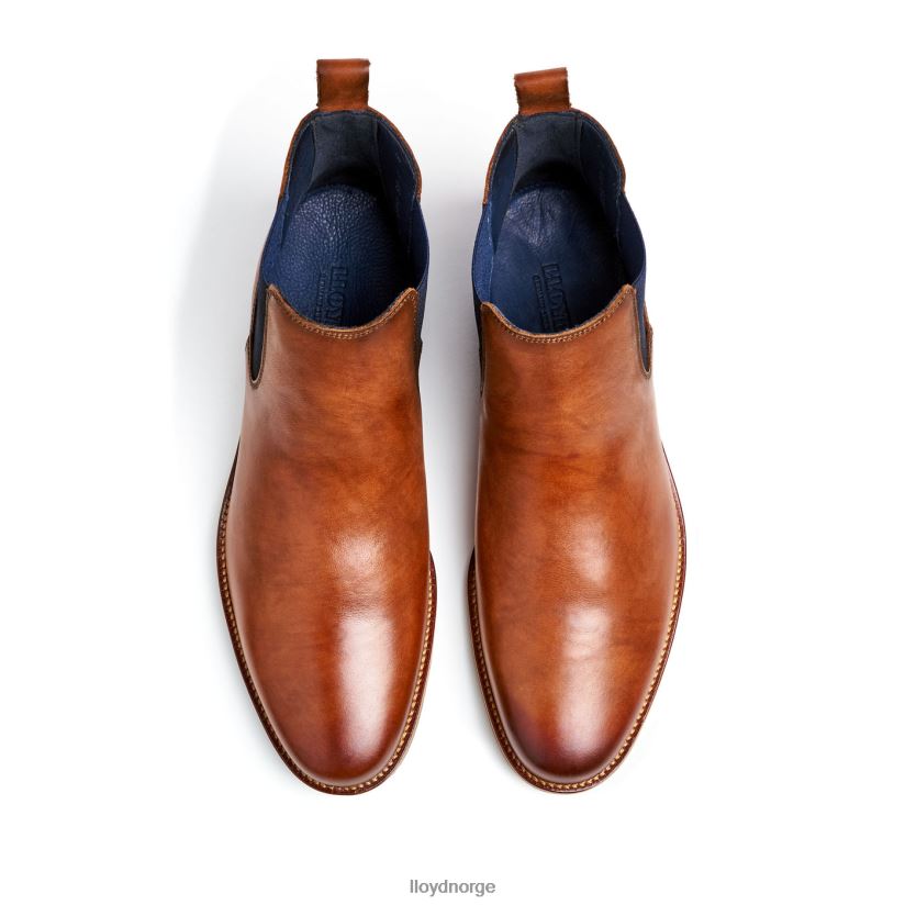 LLOYD Lawrence menn sko brun 4X82ZP453