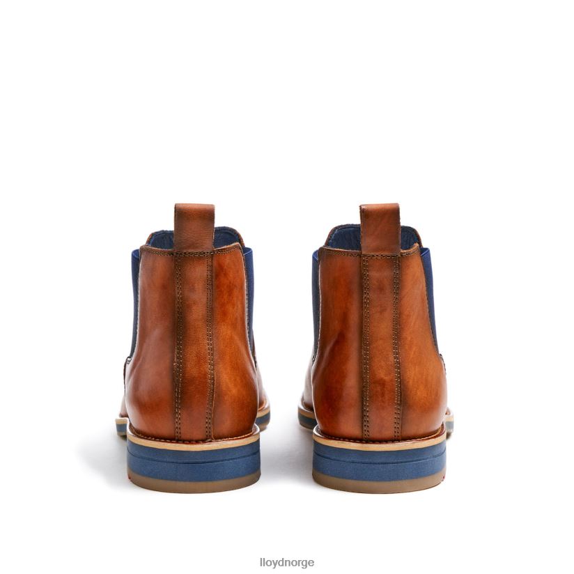 LLOYD Lawrence menn sko brun 4X82ZP453