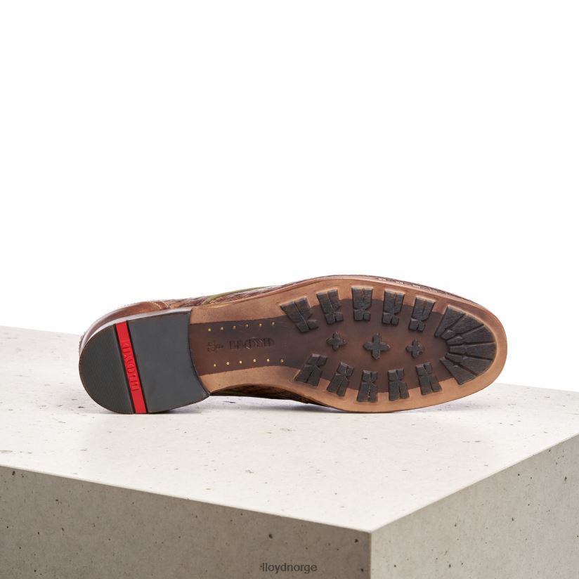 LLOYD Oregon menn sko brun 4X82ZP611