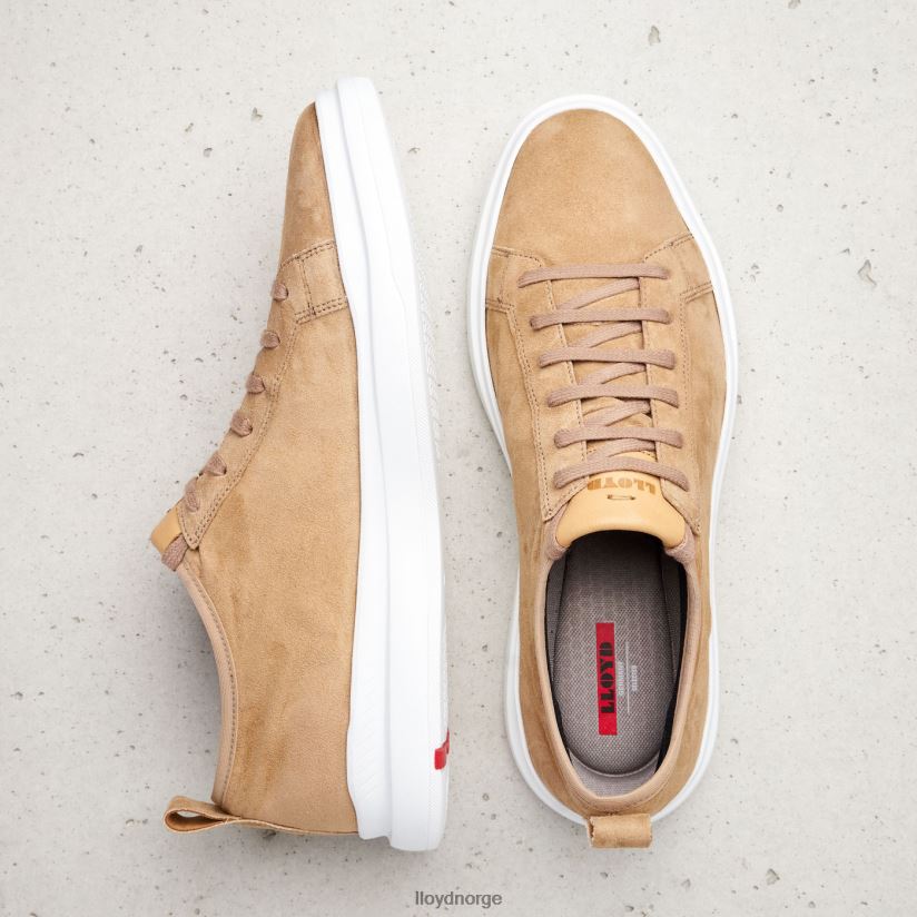 LLOYD aaro menn sko brun 4X82ZP421