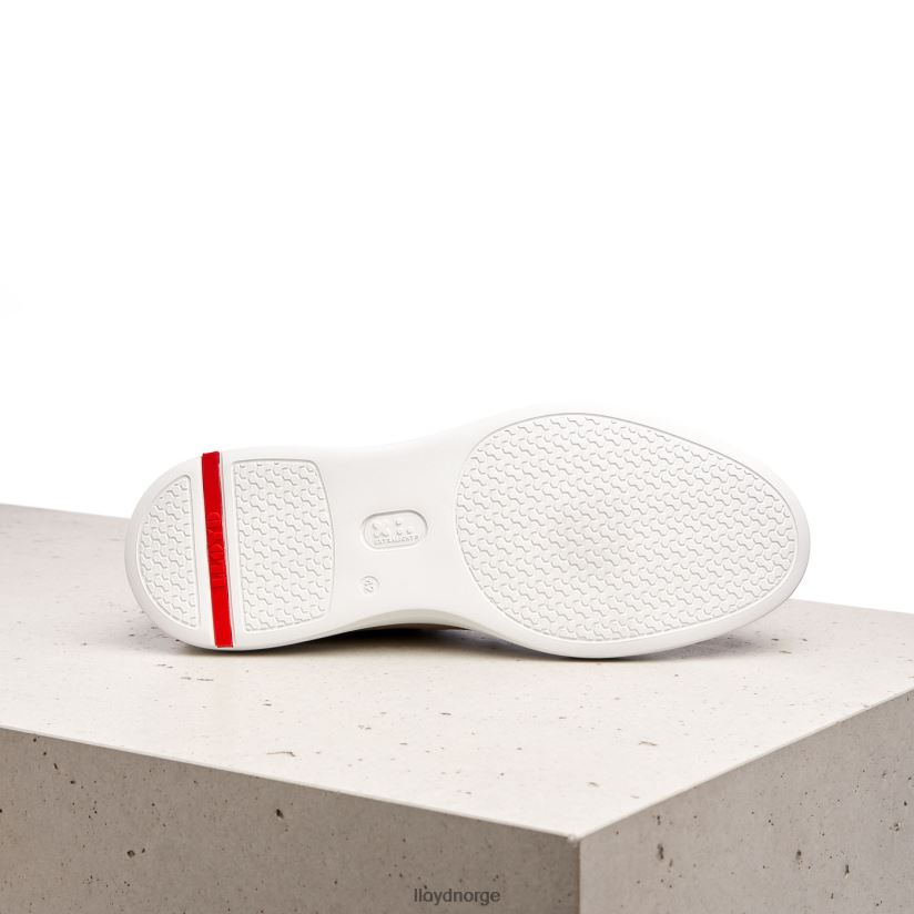 LLOYD aaro menn sko brun 4X82ZP421