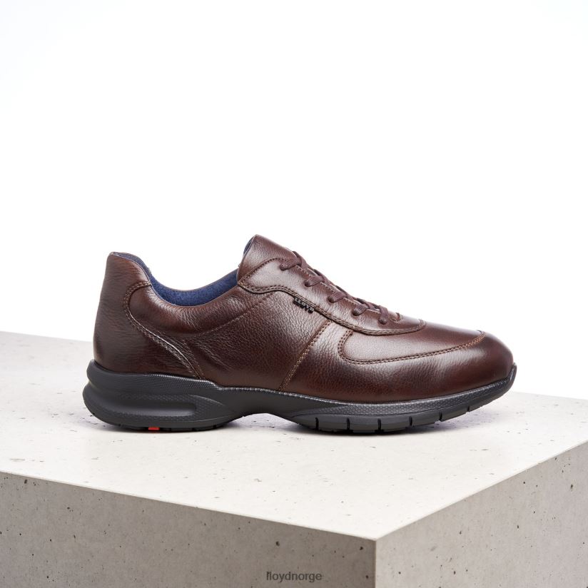 LLOYD aberdeen menn sko brun 4X82ZP387
