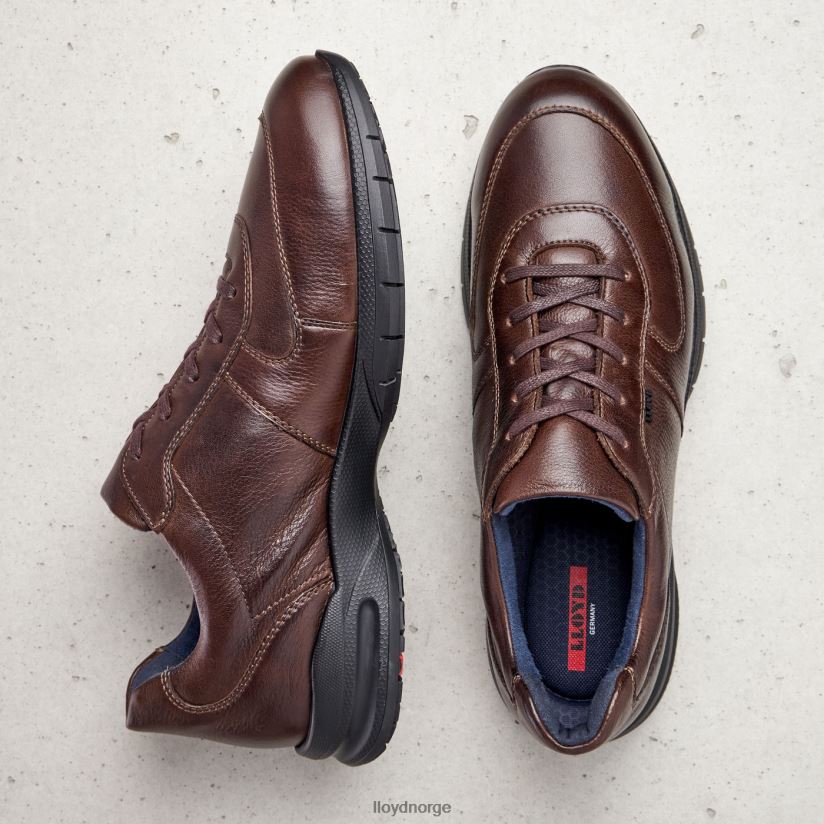 LLOYD aberdeen menn sko brun 4X82ZP387