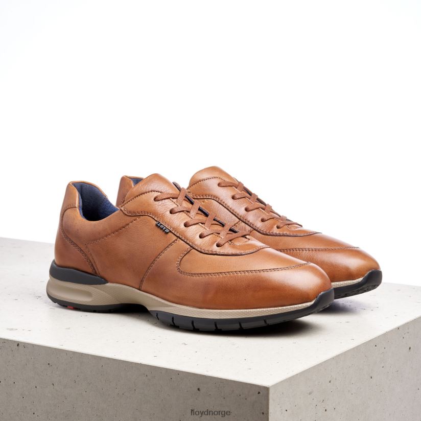 LLOYD aberdeen menn sko brun 4X82ZP392