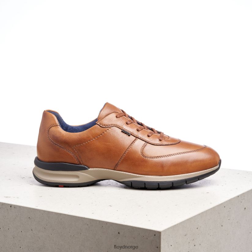 LLOYD aberdeen menn sko brun 4X82ZP392