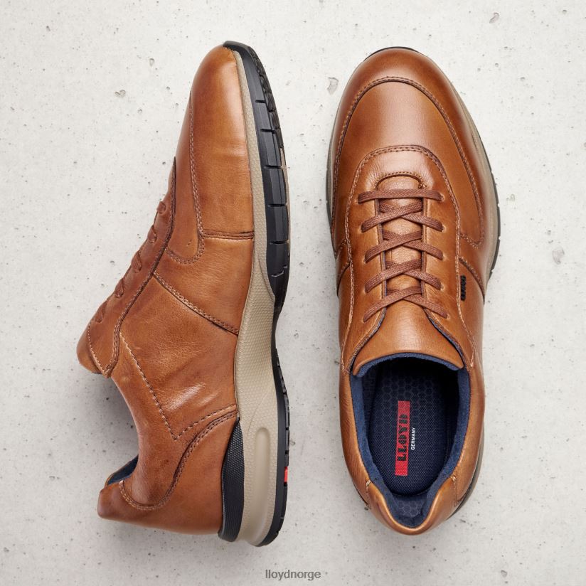 LLOYD aberdeen menn sko brun 4X82ZP392