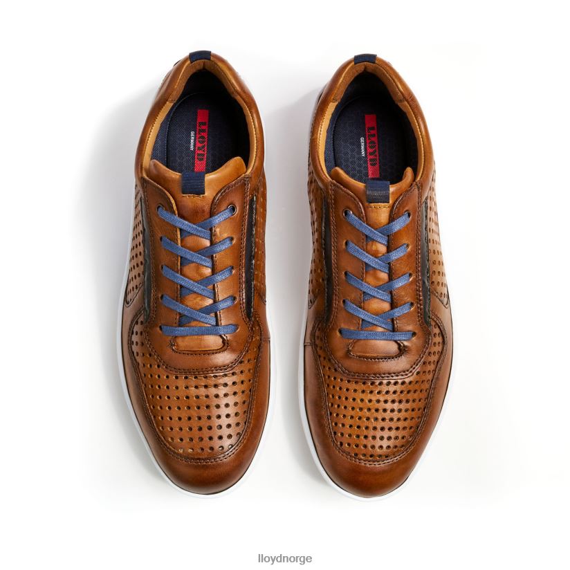 LLOYD abott menn sko brun 4X82ZP415