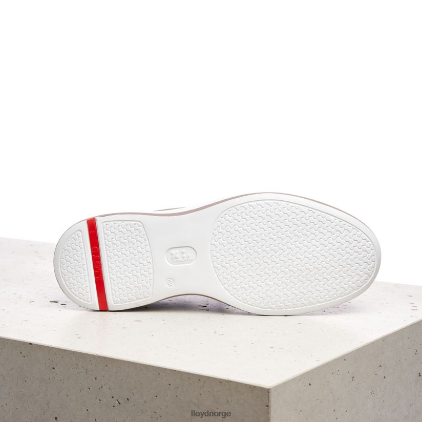 LLOYD acuta menn sko grå 4X82ZP349