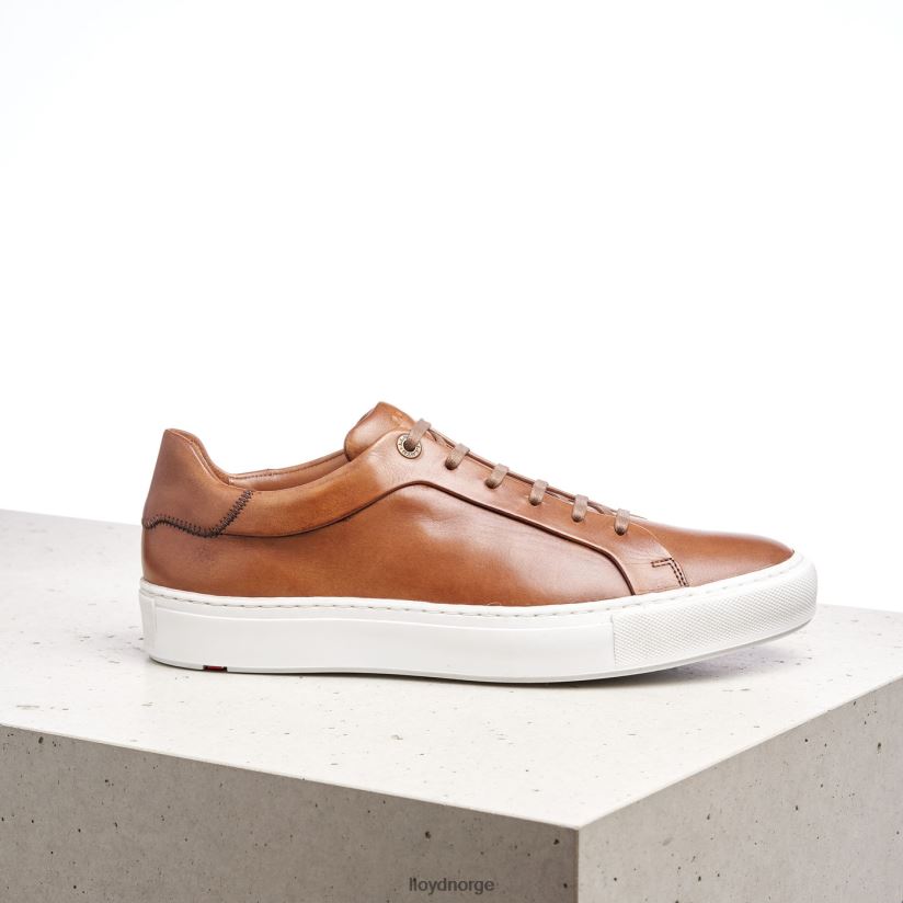 LLOYD ajan menn sko brun 4X82ZP391