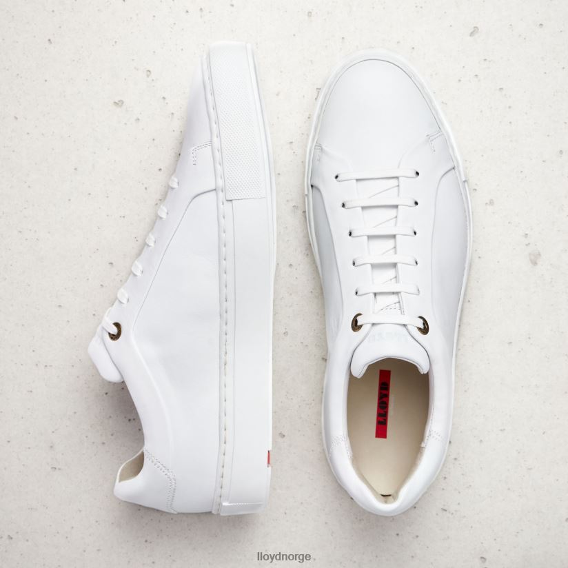 LLOYD ajan menn sko hvit 4X82ZP1338