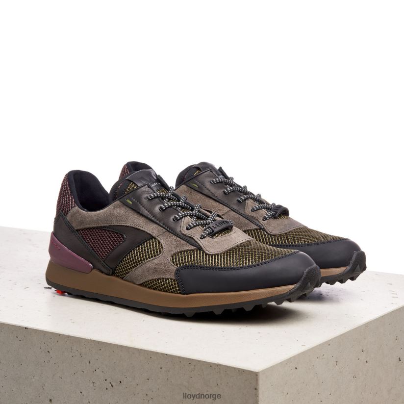 LLOYD alexander menn sko kombinert 4X82ZP424