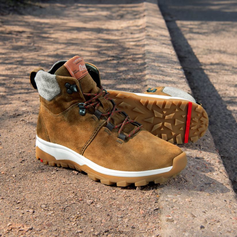 LLOYD ankel støvler kvinner sko brun 4X82ZP856