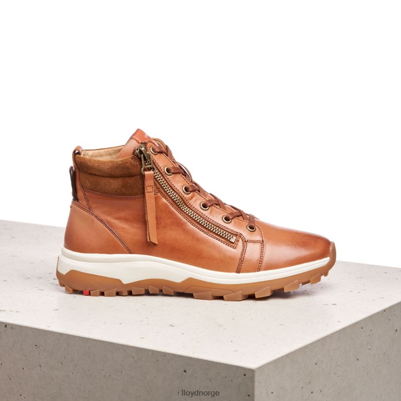 LLOYD ankelstøvletter i glatt skinn kvinner sko brun 4X82ZP866