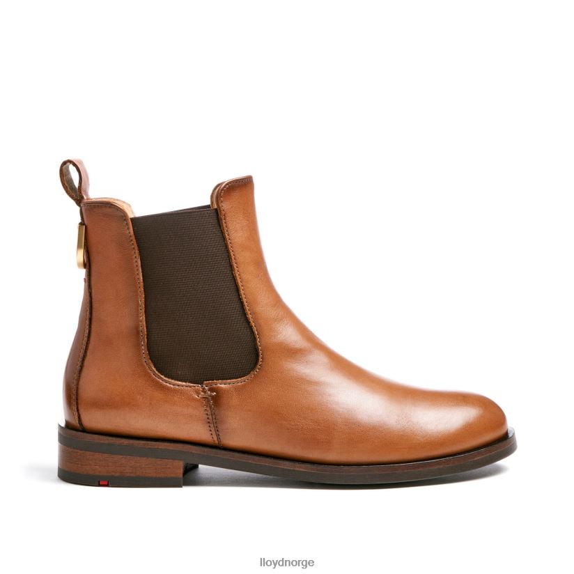 LLOYD ankelstøvletter i glatt skinn kvinner sko brun 4X82ZP933