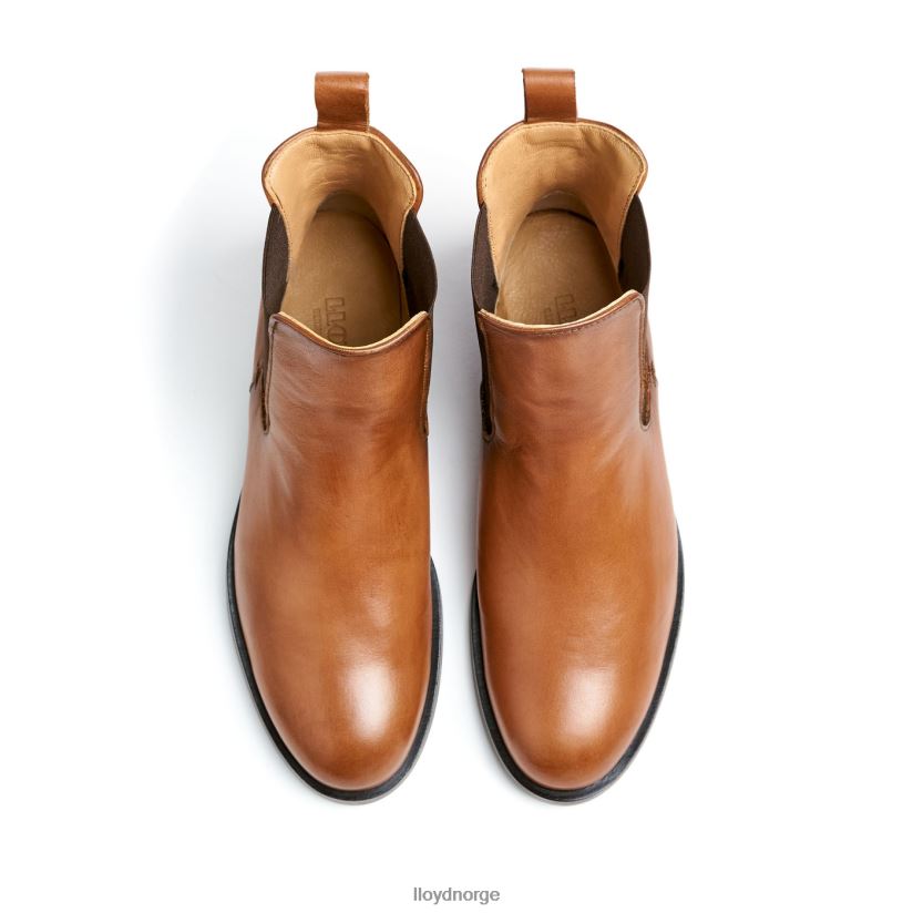 LLOYD ankelstøvletter i glatt skinn kvinner sko brun 4X82ZP933