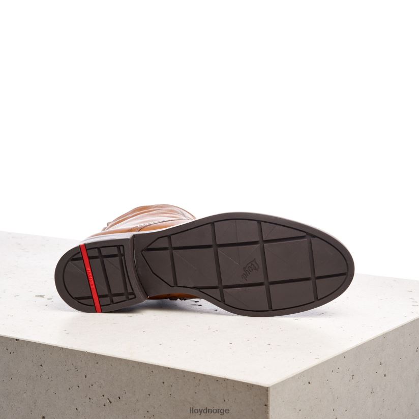 LLOYD ankelstøvletter i glatt skinn kvinner sko brun 4X82ZP982