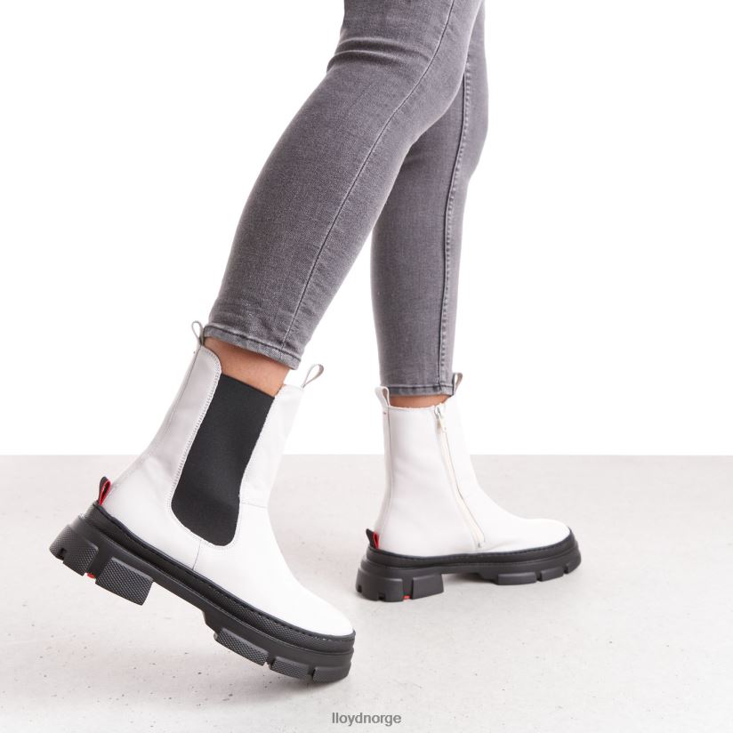 LLOYD ankelstøvletter i glatt skinn kvinner sko hvit 4X82ZP875