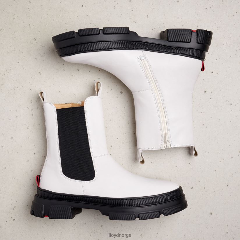 LLOYD ankelstøvletter i glatt skinn kvinner sko hvit 4X82ZP875