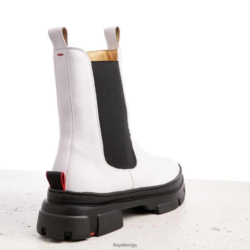 LLOYD ankelstøvletter i glatt skinn kvinner sko hvit 4X82ZP875