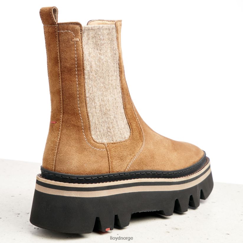 LLOYD ankelstøvletter i grovt skinn kvinner sko brun 4X82ZP946