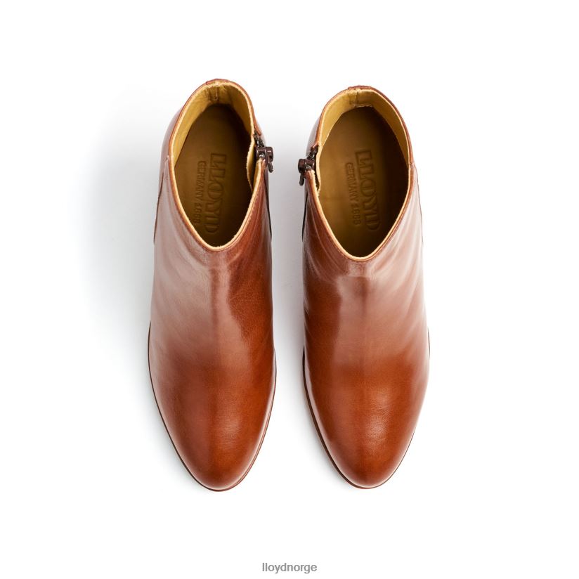 LLOYD ankelstøvletter i skinn kvinner sko brun 4X82ZP921