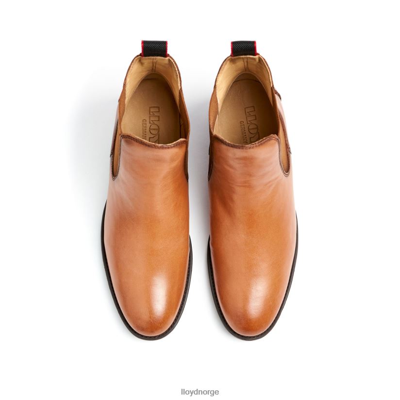 LLOYD ankelstøvletter i skinn kvinner sko brun 4X82ZP929