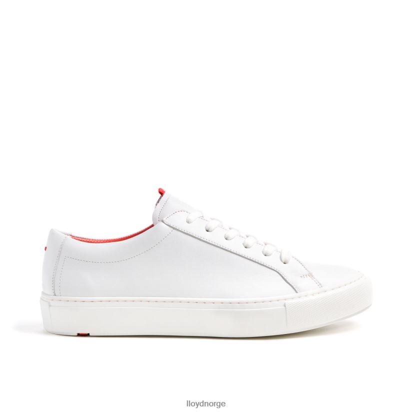 LLOYD austin menn sko hvit 4X82ZP348