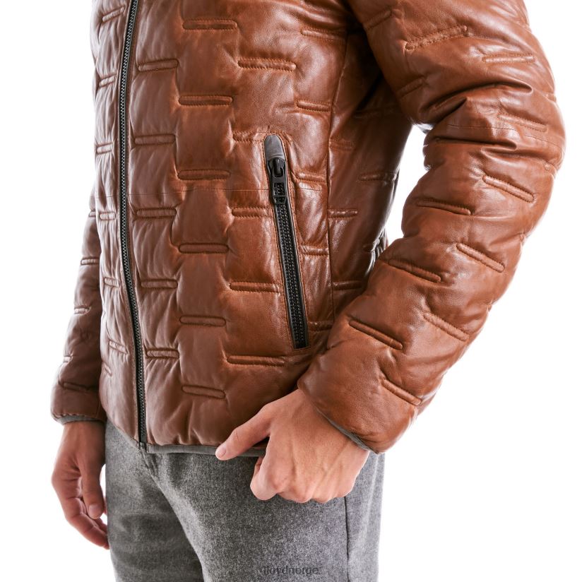 LLOYD avery menn klær brun 4X82ZP647