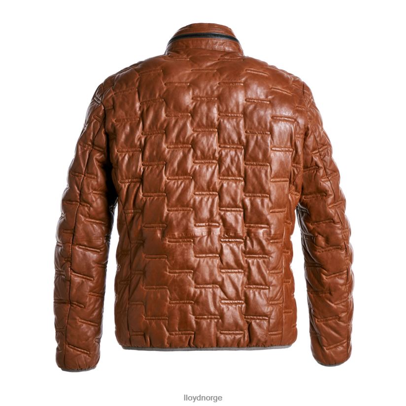 LLOYD avery menn klær brun 4X82ZP647