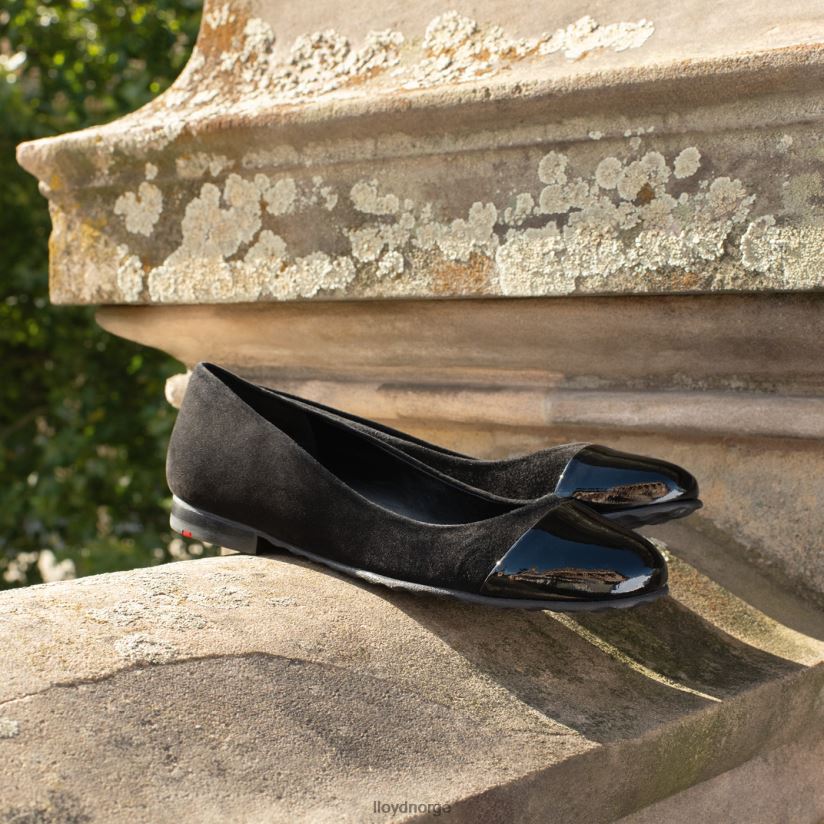 LLOYD ballerina i lakkert skinn kvinner sko svart 4X82ZP1171