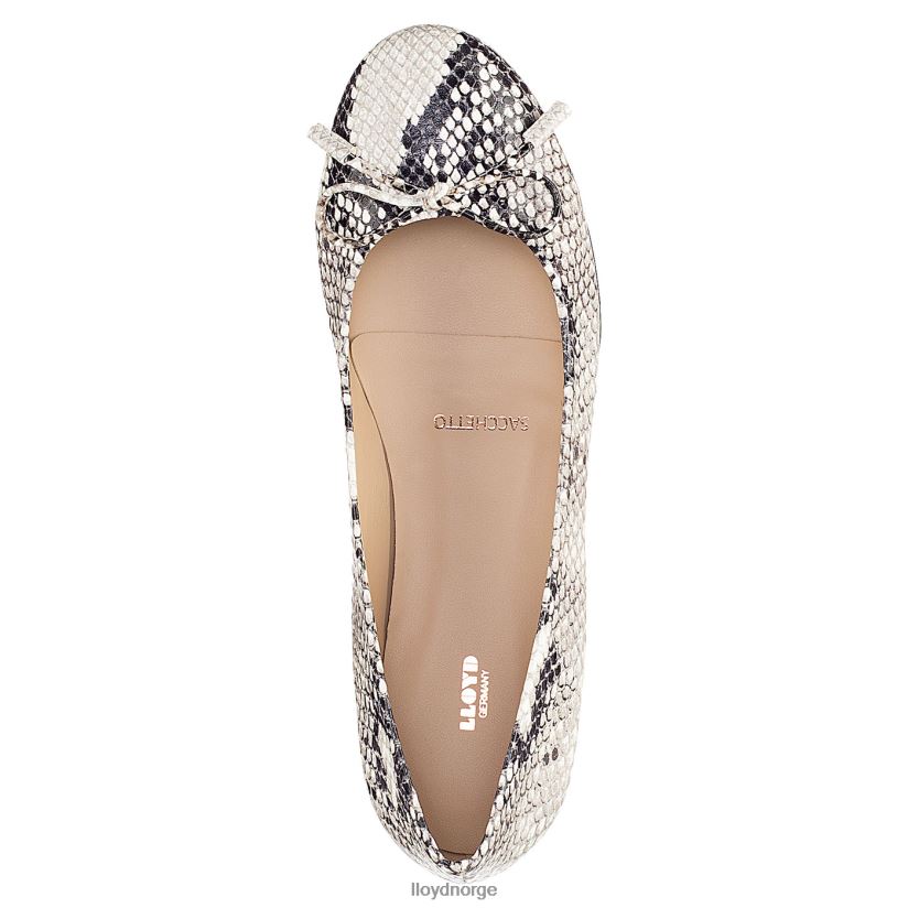 LLOYD ballerina kvinner sko kombinert 4X82ZP1168