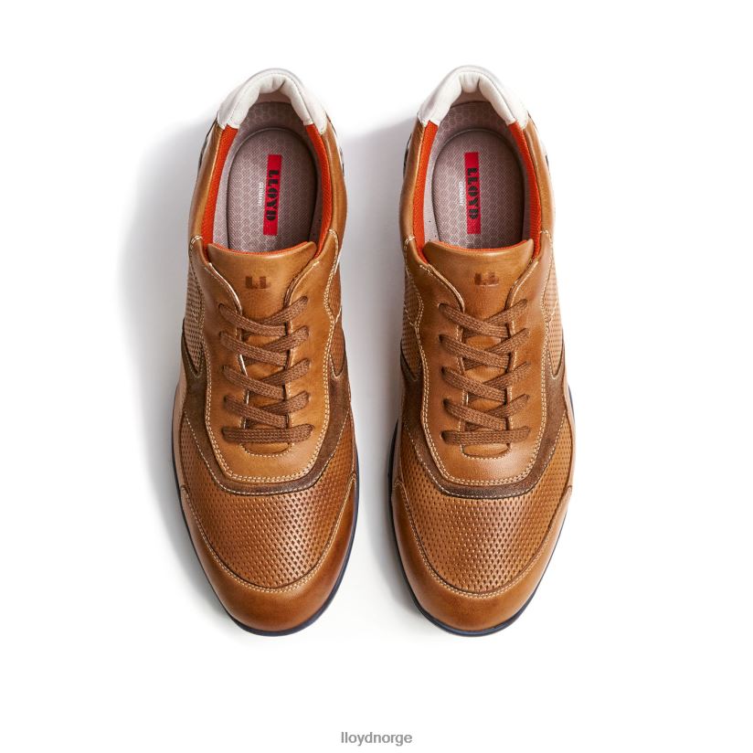 LLOYD baltimore menn sko brun 4X82ZP287