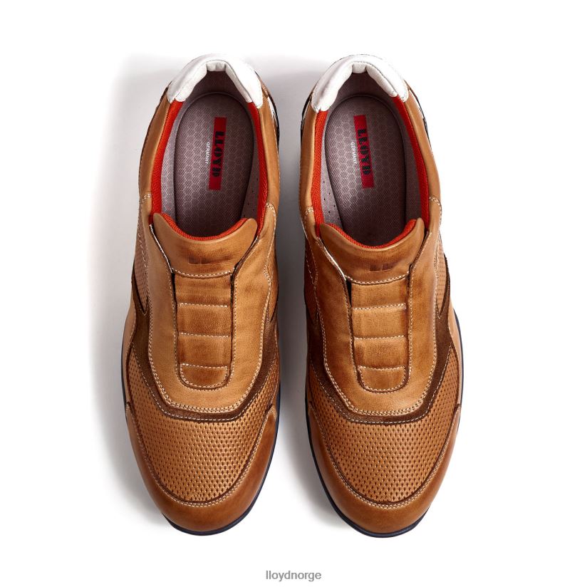 LLOYD banfield menn sko brun 4X82ZP347