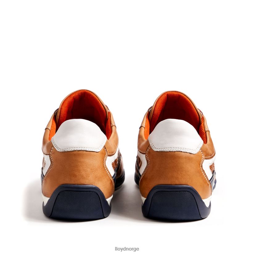 LLOYD banfield menn sko brun 4X82ZP347