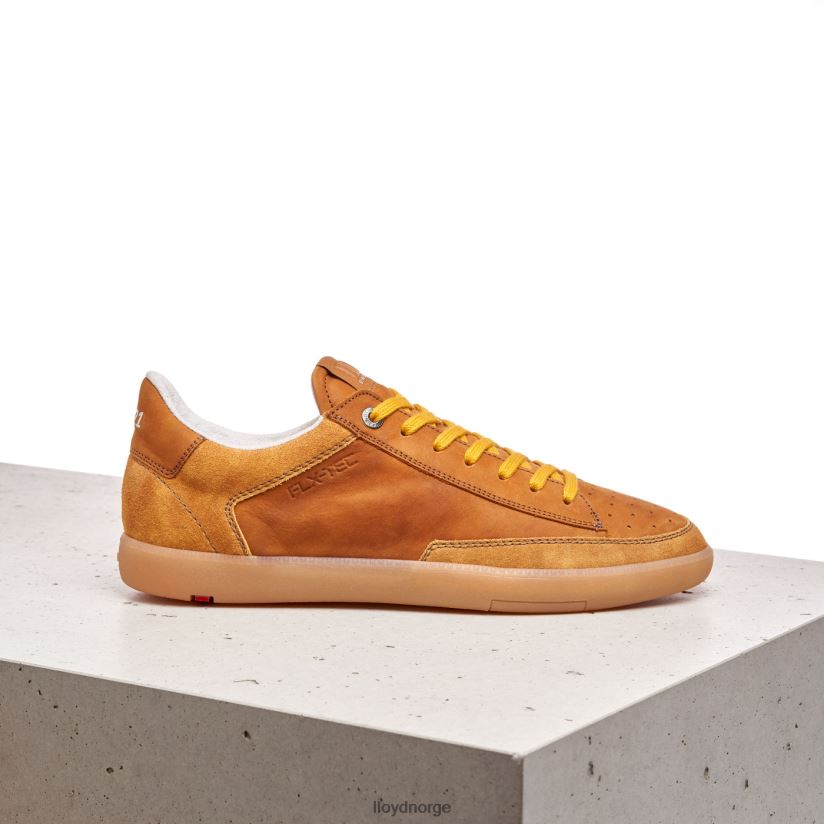 LLOYD baron menn sko brun 4X82ZP427