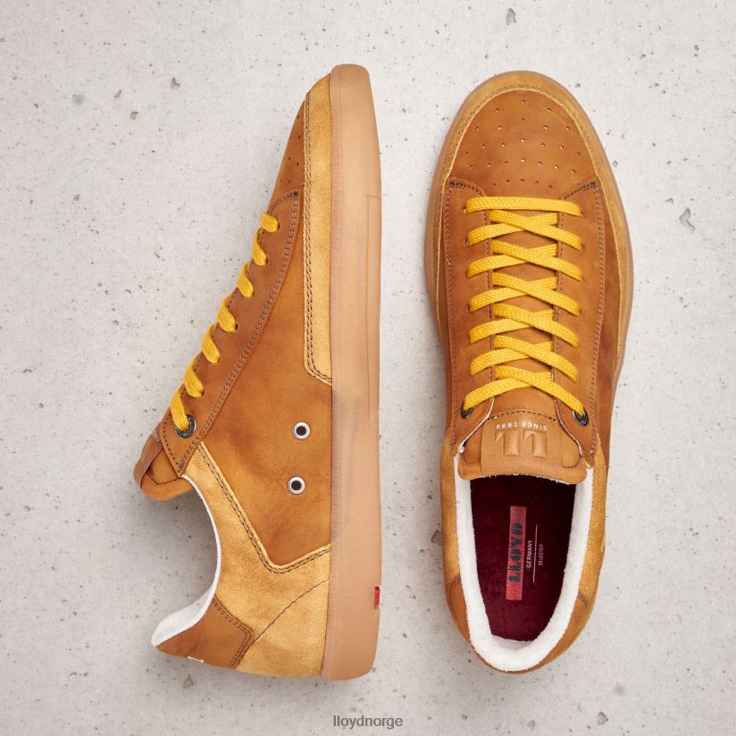 LLOYD baron menn sko brun 4X82ZP427