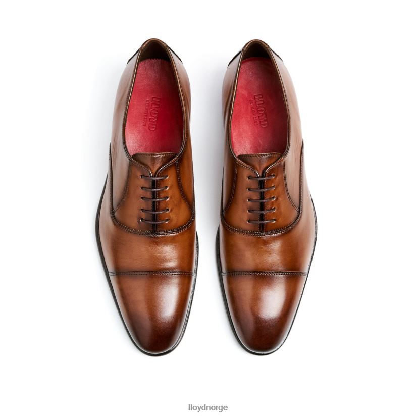 LLOYD basseng menn sko brun 4X82ZP1