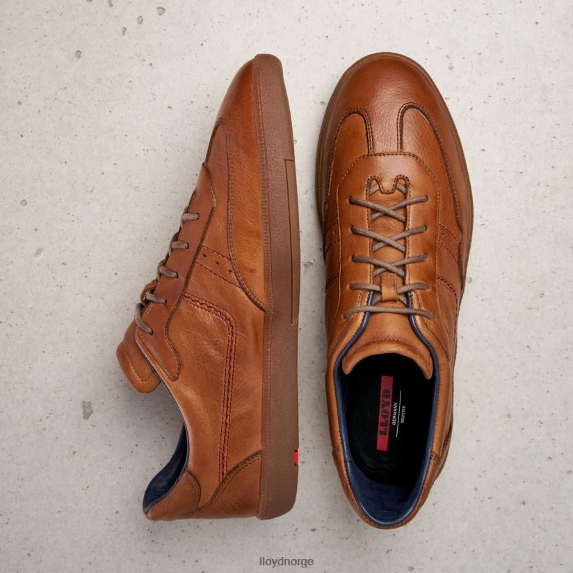 LLOYD bastian menn sko brun 4X82ZP423