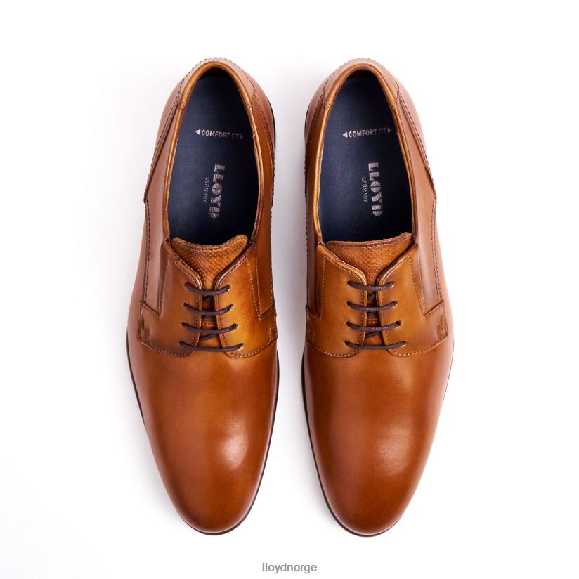 LLOYD beholde menn sko brun 4X82ZP129