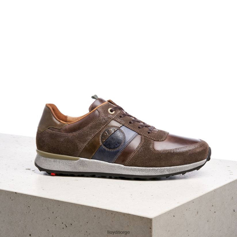 LLOYD bellingham menn sko brun 4X82ZP377