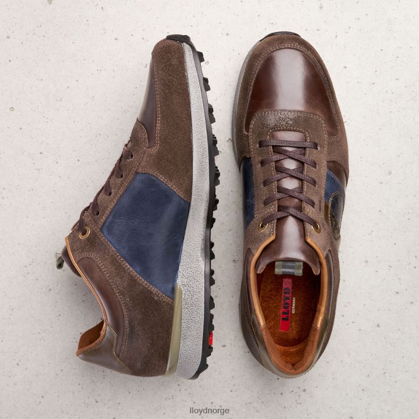 LLOYD bellingham menn sko brun 4X82ZP377