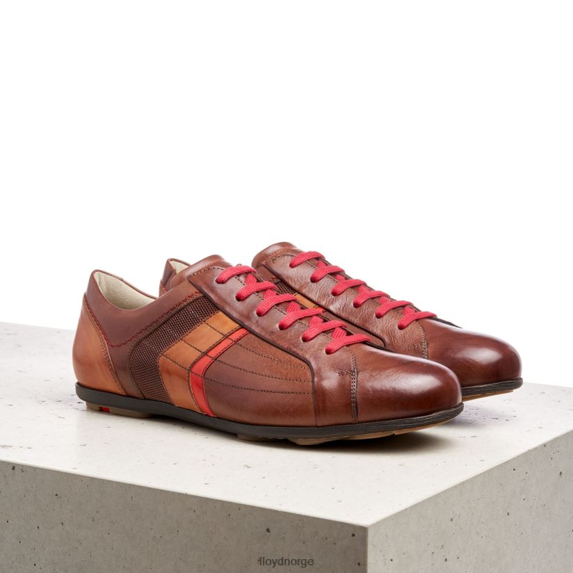 LLOYD benson menn sko brun 4X82ZP439